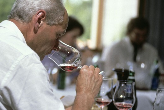 Weinwisser beim Degustieren Kenner des Weins